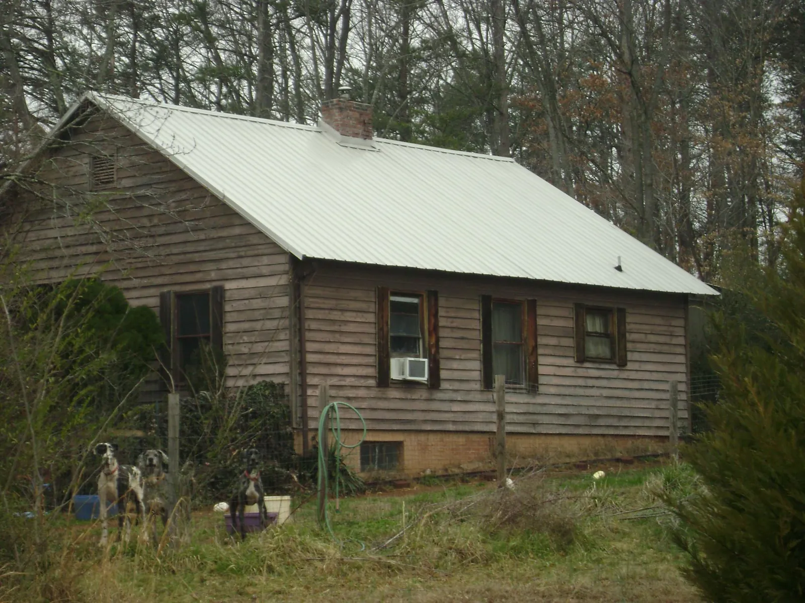 White metal roof on an old wood sided farmhouse, from a Asphalt Shingle Roof Repair job in Pavo